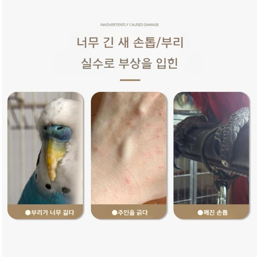 앵무새 나무횃대 원목횃대 스탠딩 스틱 인조 나뭇가지 - 상세 이미지 2