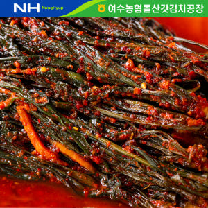 국내산 고들빼기 꼬들빼기 김치 2kg 주문 맛있게 먹은 솔직 후기 - 상품 이미지 2
