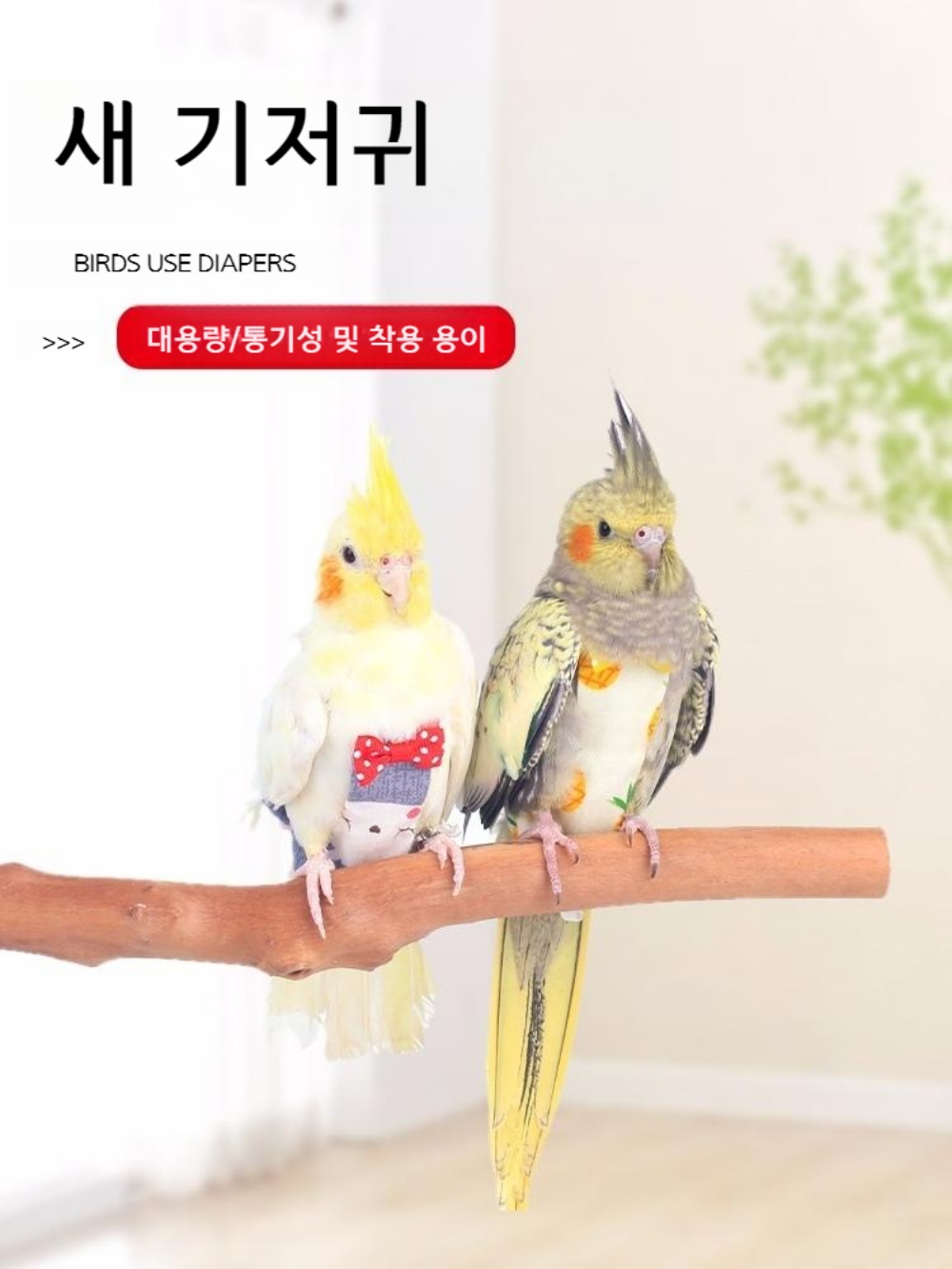 앵무새 배변패드 똥기저귀 옷 앵무새키우기 - 상세 이미지 2