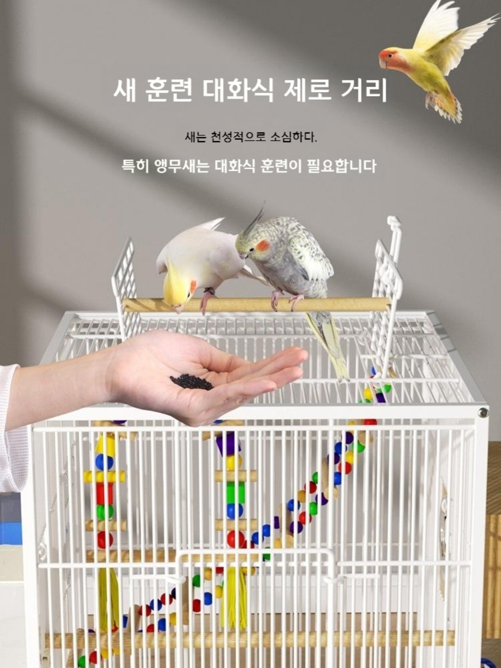 바퀴 대형 새장 앵무새 철제 케이지 이동가능 튼튼한 - 상세 이미지 3