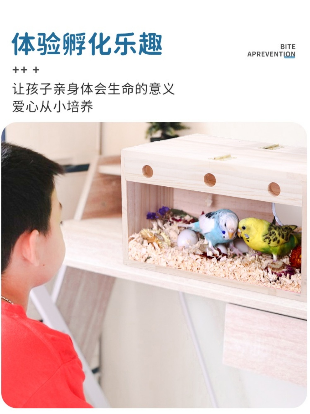 조류 알 앵무새 부화 번식 둥지 상자 용품 집 - 상세 이미지 3