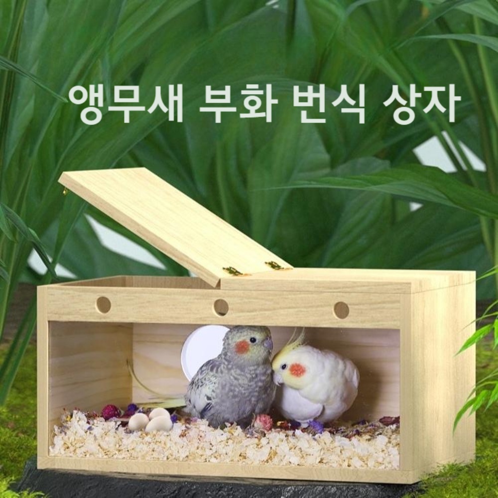 조류 알 앵무새 부화 번식 둥지 상자 용품 집