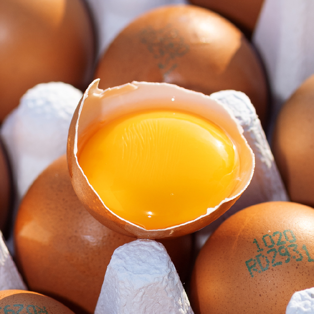 난각번호1번 계란 유정란 20구 달걀 무항생제 자연방사