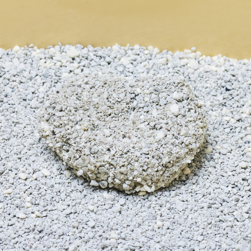 3651 365샌드 카사바 벤토나이트 카사벤토 고양이 모래 6kg X 2개(1박스)