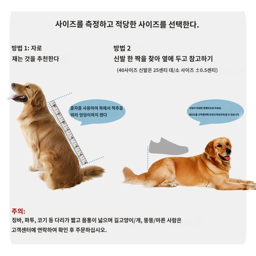 장애인 개 휠체어 뒷다리 애완 동물 오토바이 노인 마비 된 앞다리 보조 보행기 고양이 - 상세 이미지 3