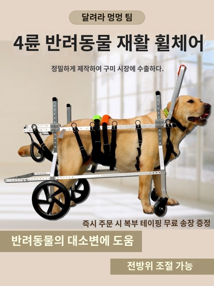 강아지 휠체어 래브라도 알래스카 골든 리트리버 사륜 장애인 자동차 대형 - 상세 이미지 2