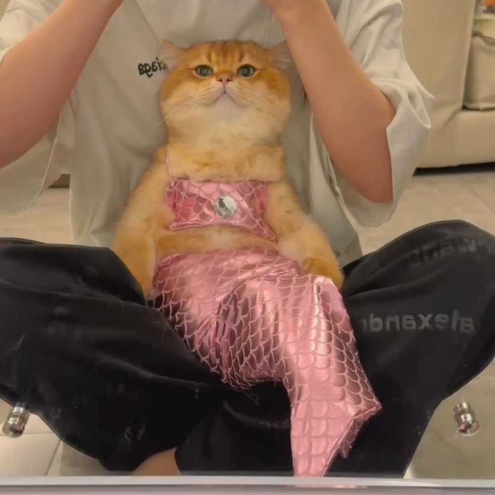 고양이인어공주옷 촬영 강아지 원피스 애완동물 코스프레 코스튬 소품 꼬리 반려동물 - 상세 이미지 4