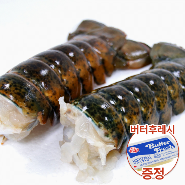 [모티] 연말연시 홈파티 혼술안주 홈마카세 사케안주 바닷가재 꼬리 랍스터테일 110g - 상품 이미지