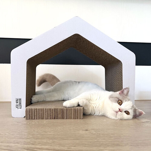 박스키티 고양이 스크래쳐 casa 스크래처 - 상세 이미지 3
