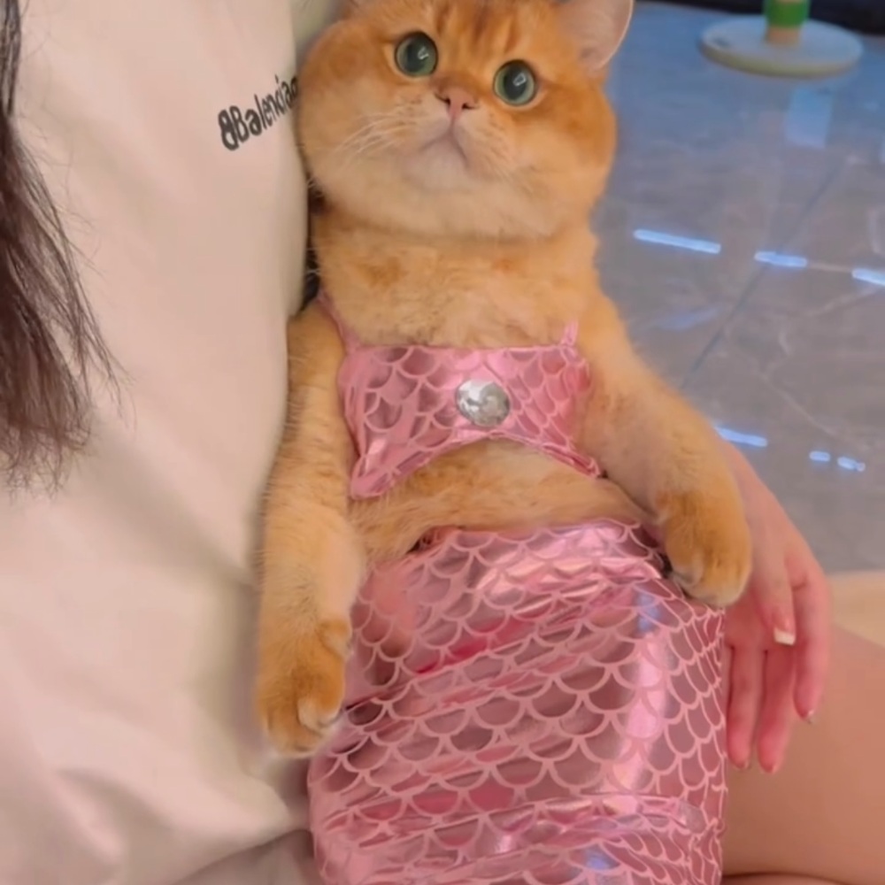고양이인어공주옷 촬영 강아지 원피스 애완동물 코스프레 코스튬 소품 꼬리 반려동물 - 상품 이미지