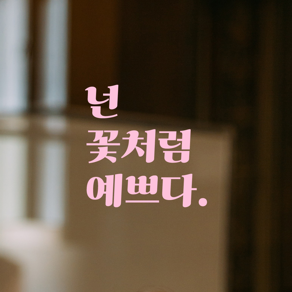 인테리어 포인트 그래픽 레트로 감성 레터링 스티커 넌 꽃처럼 예쁘다 LG-040S 검정 - 상세 이미지 4