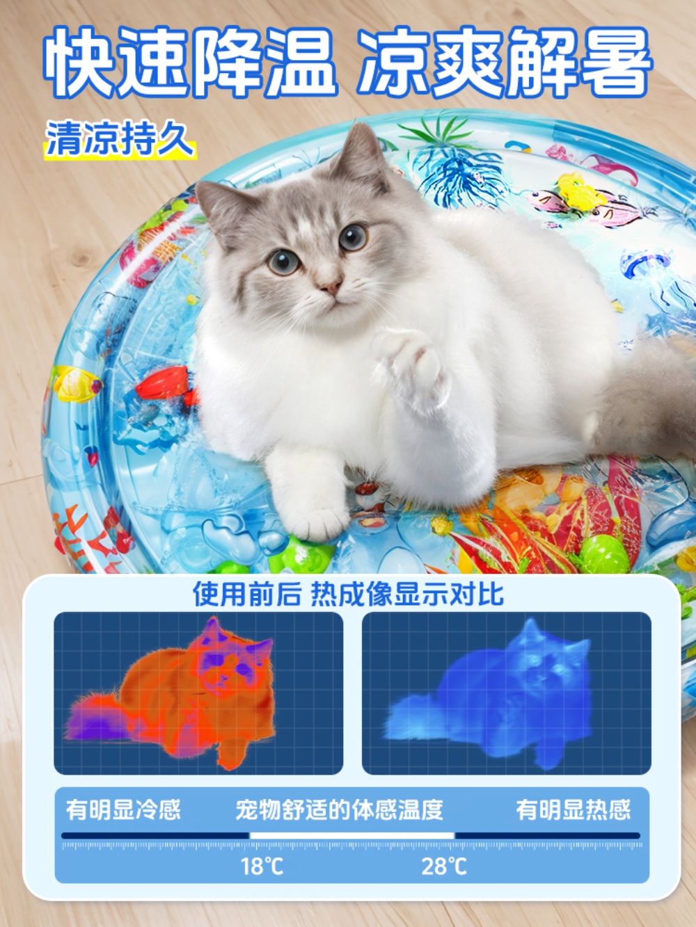 고양이물고기매트 방석 하우스 냥이 물고기매트 놀이 물놀이매트 매트 워터매트 - 상세 이미지 4