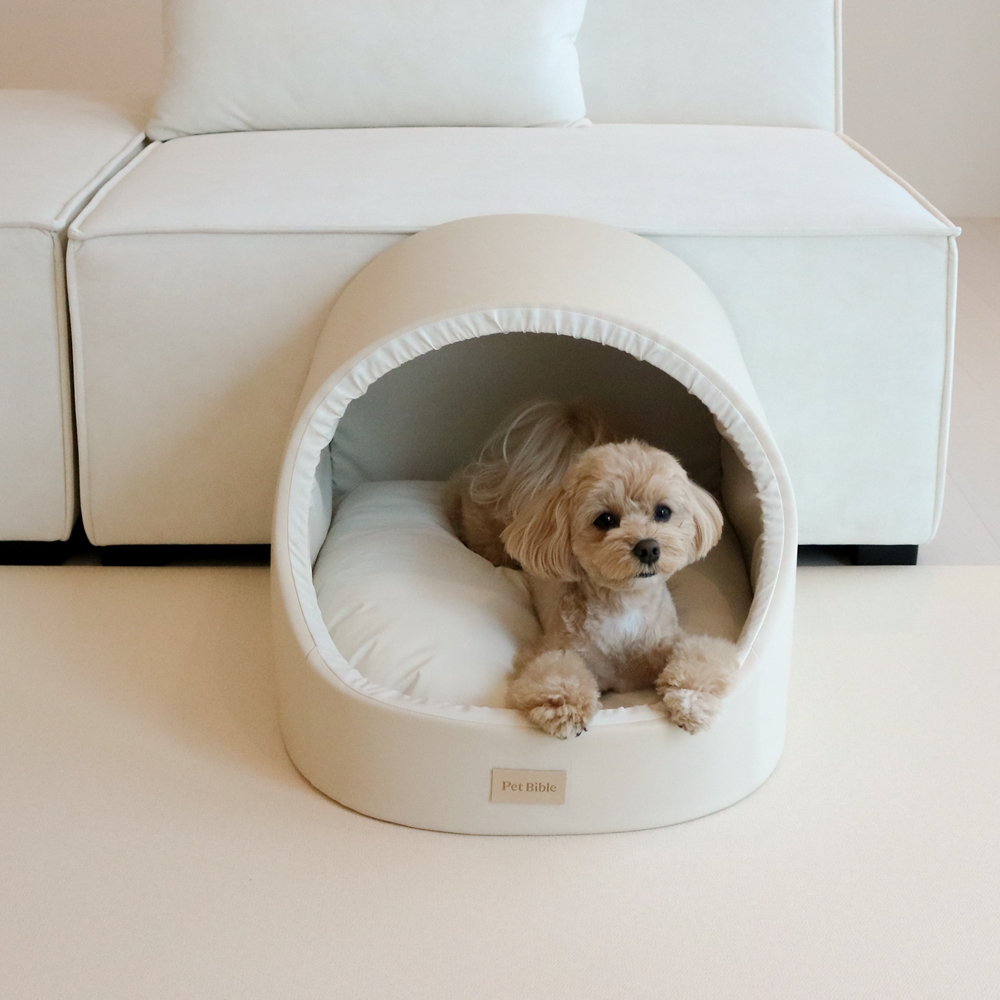 펫바이블 펫트 하우스 강아지 동굴형 고양이 동굴하우스 애견 숨숨 집