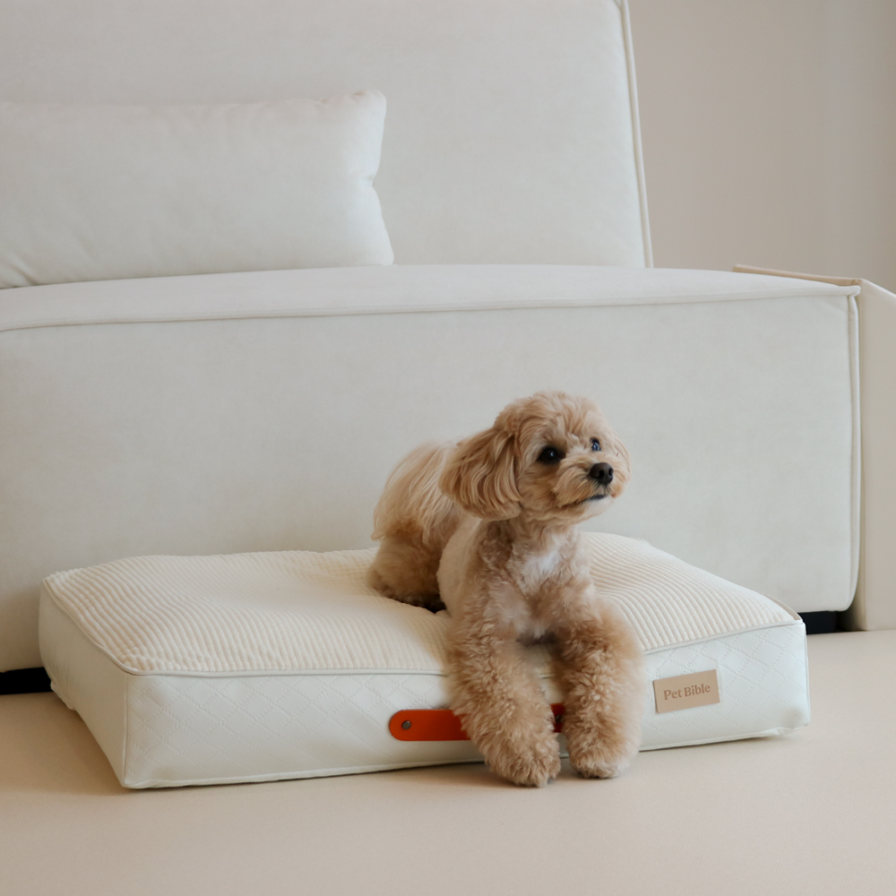 펫바이블 강아지 쿨매트 여름 냉감 듀라론 애견 사각 방석 사계절 쿠션 침대 패드 고양이