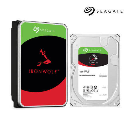 씨게이트 아이언울프 HDD 12TB (ST12000VN0008) / 보증기간 3년