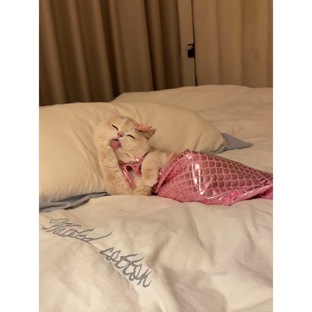 고양이인어공주옷 반려동물 애완동물 촬영 인어공주 강아지 물고기 드레스 소품 코스튬 - 상세 이미지 2