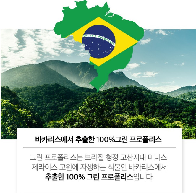 biospray 속냄새억제제 구취제거제 구강청결 천연프로폴리스 스프레이 30ml - 상세 이미지 4