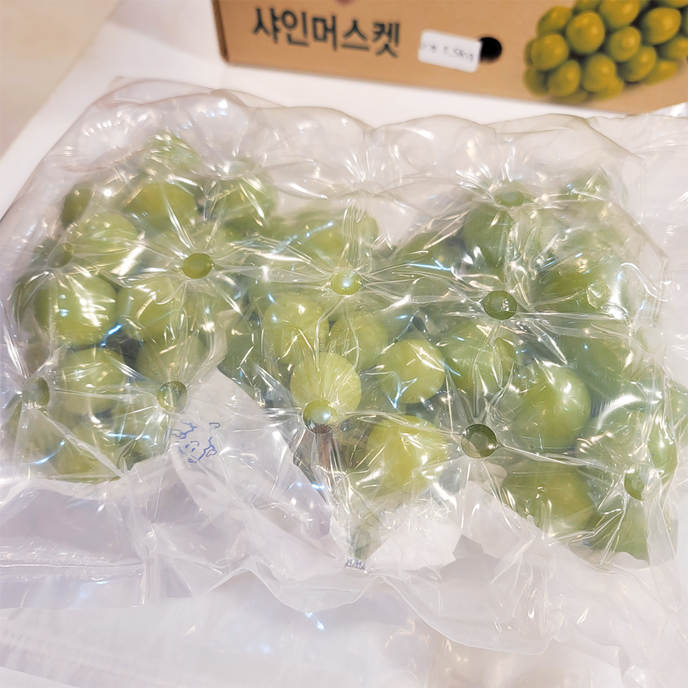 샤인머스켓 애플청포도 거봉 머루 켐벨포도 가지 씨없는포도 루비로망 이미지 6