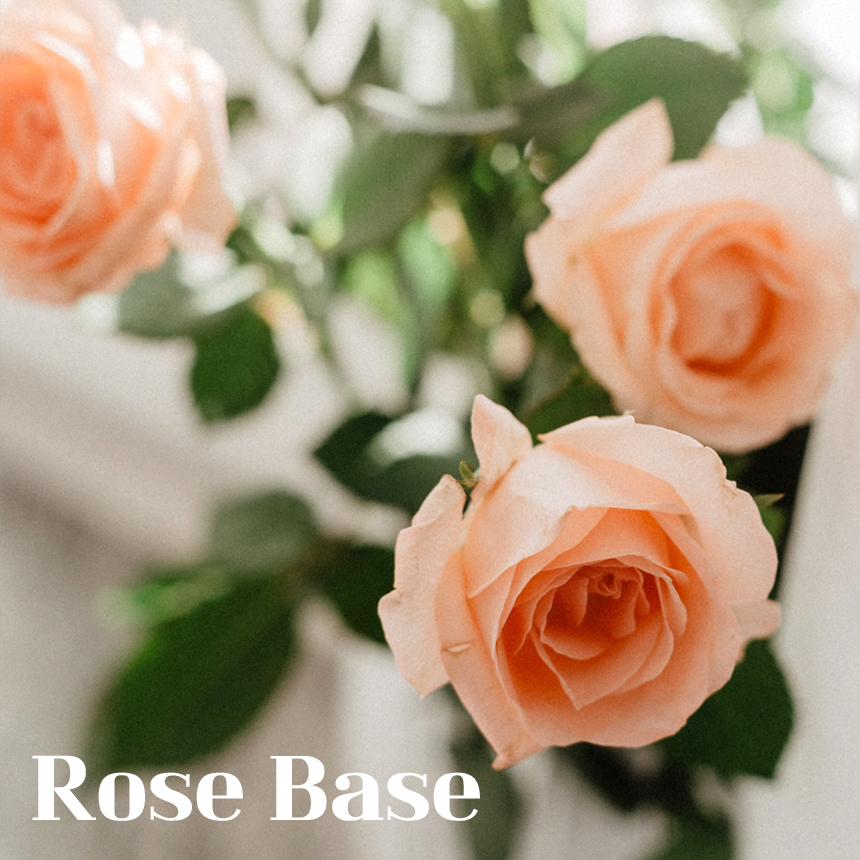 조향베이스 로즈 Rose 조향원료 조향재료 오일 아이리스캔들 : 아이리스캔들