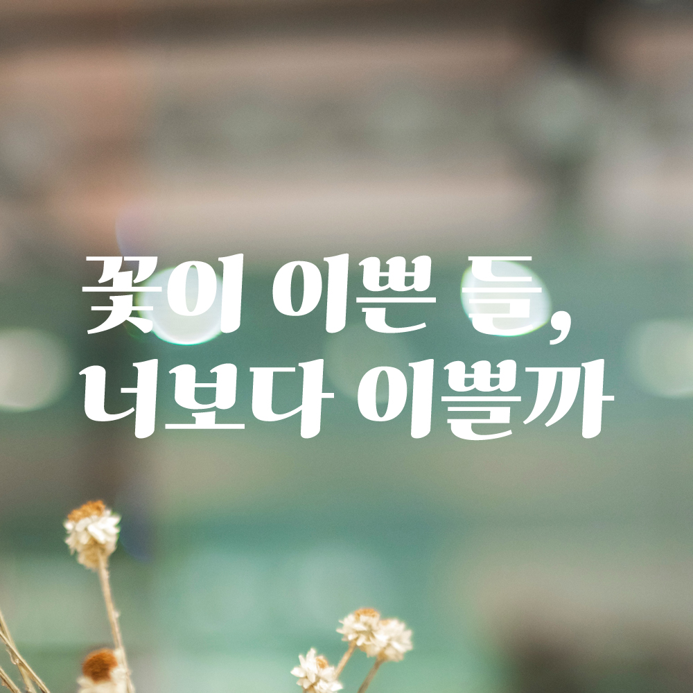 인테리어 포인트 그래픽 레트로 감성 레터링 스티커 꽃이 이쁜 들 너보다 이쁠까 LG-048S 검정 - 상세 이미지 2