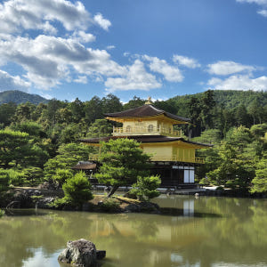 [즉시확정] 오사카 교토 청수사 금각사 아라시야마 일일 버스투어 엔데이트... 솔직 후기 | 실사용자 리뷰 분석 - 상품 이미지 3