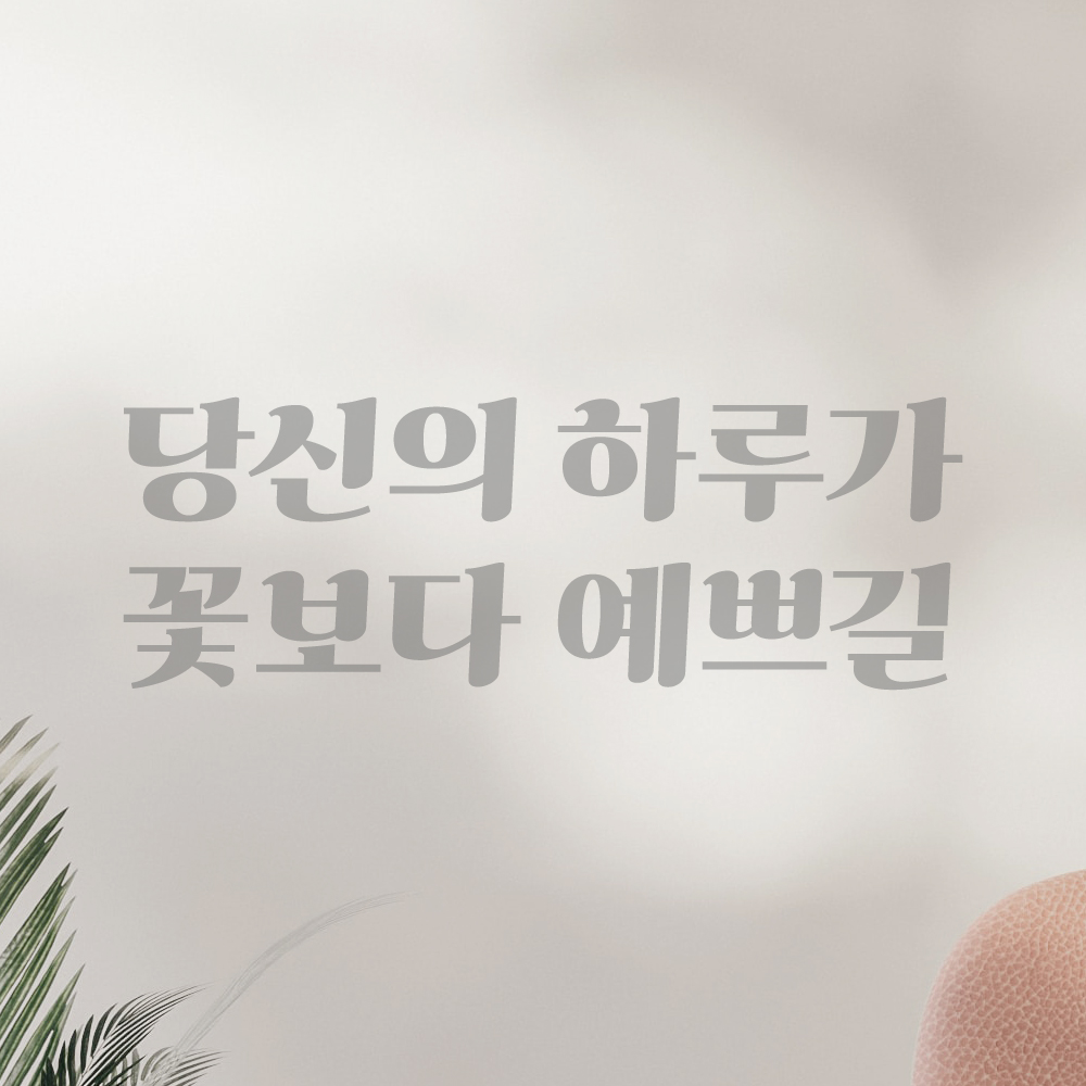 인테리어 포인트 그래픽 레트로 감성 레터링 스티커 당신의 하루가 꽃보다 예쁘길 LG-057S 검정 - 상세 이미지 3