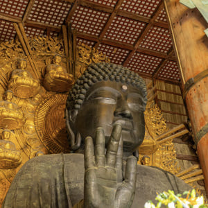 [오사카] 교토 나라 사슴공원 동대사N아라시야마N청수사 1일 버스투어 유... 솔직 후기 | 실사용자 리뷰 분석 - 상품 이미지 4