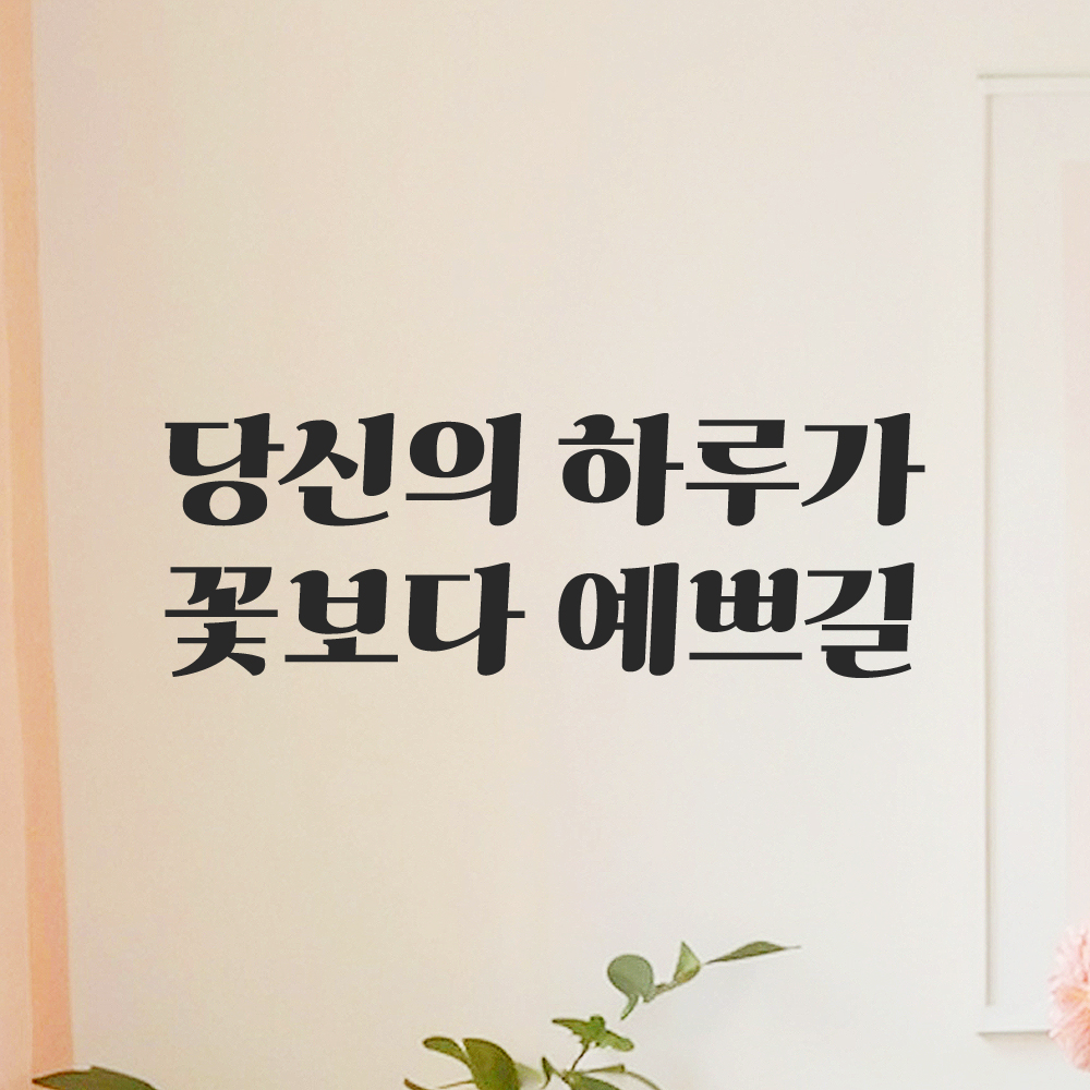인테리어 포인트 그래픽 레트로 감성 레터링 스티커 당신의 하루가 꽃보다 예쁘길 LG-057S 검정 - 상품 이미지