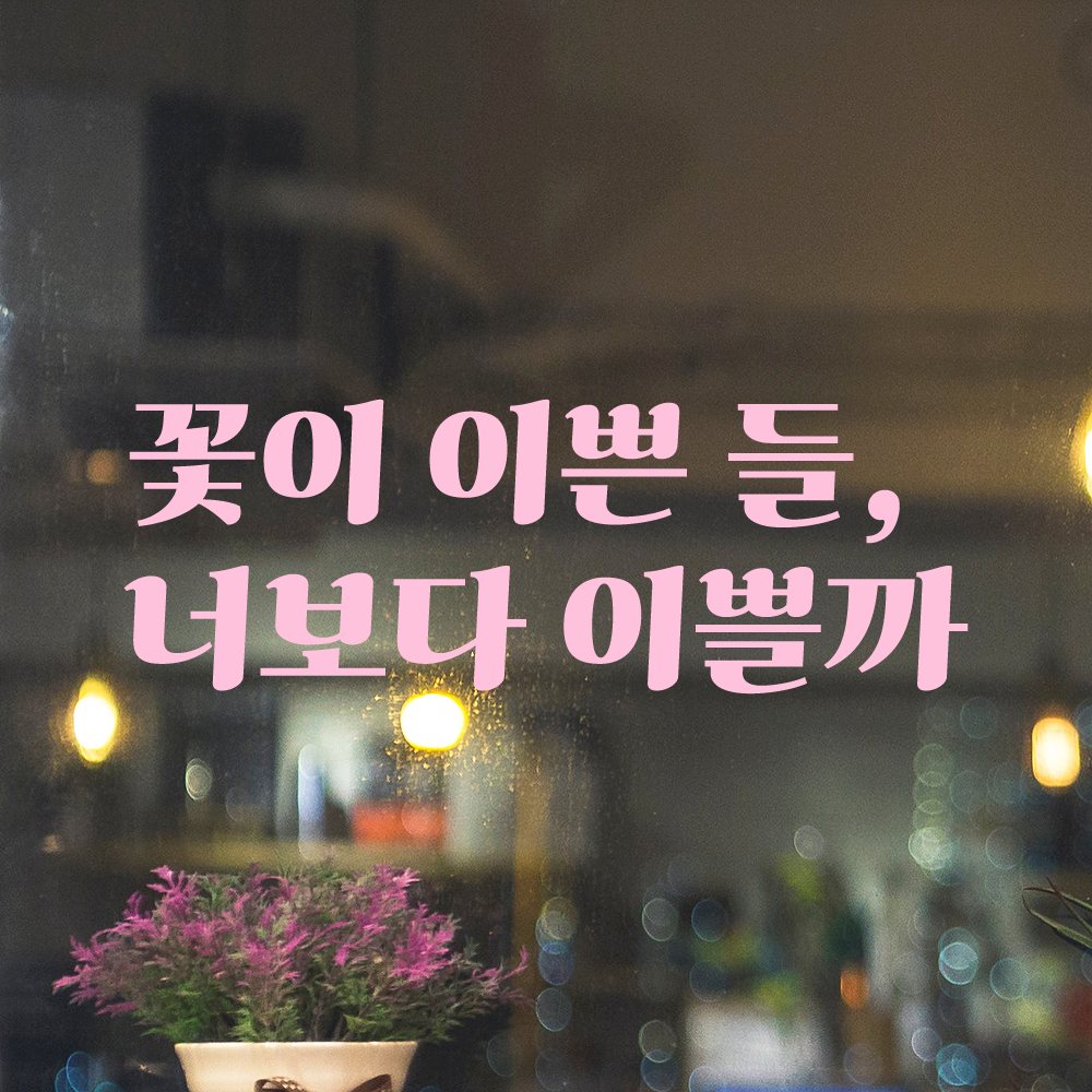 인테리어 포인트 그래픽 레트로 감성 레터링 스티커 꽃이 이쁜 들 너보다 이쁠까 LG-048S 검정 - 상세 이미지 4