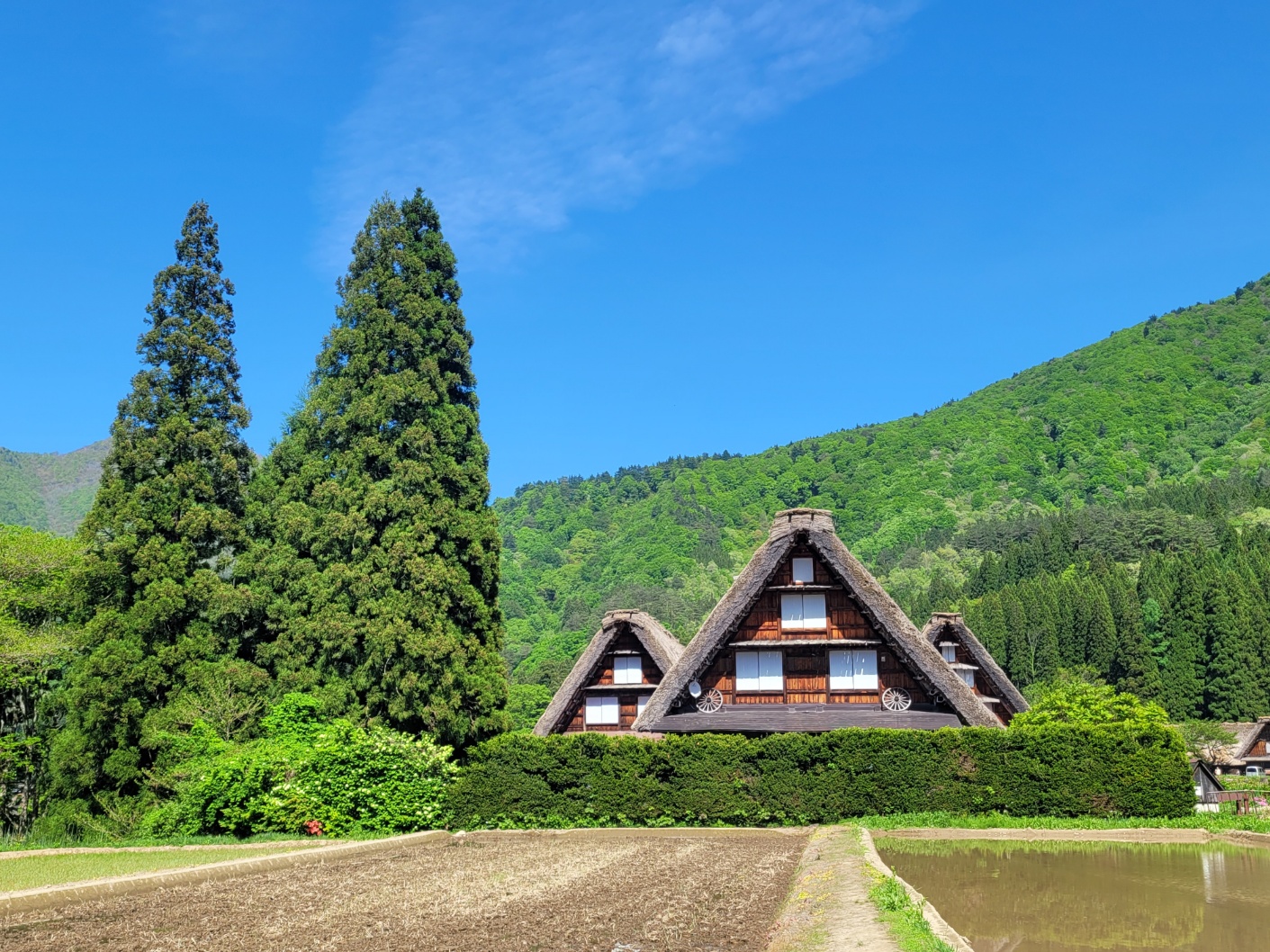 [명물간식특전] 나고야 다카야마 시라카와고 버스투어 히다규카레빵 특전 솔직 후기 | 실사용자 리뷰 분석 - 대표 이미지