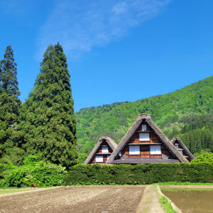 [명물간식특전] 나고야 다카야마 시라카와고 버스투어 히다규카레빵 특전 솔직 후기 | 실사용자 리뷰 분석 - 상품 이미지 1
