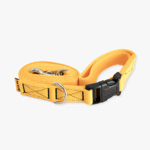 바잇미 캔디크레용 숏 리쉬 강아지 산책 리드줄 1.2m (6 colors... 솔직 후기 | 실제 사용자 리뷰 총정리 - 상품 이미지 3