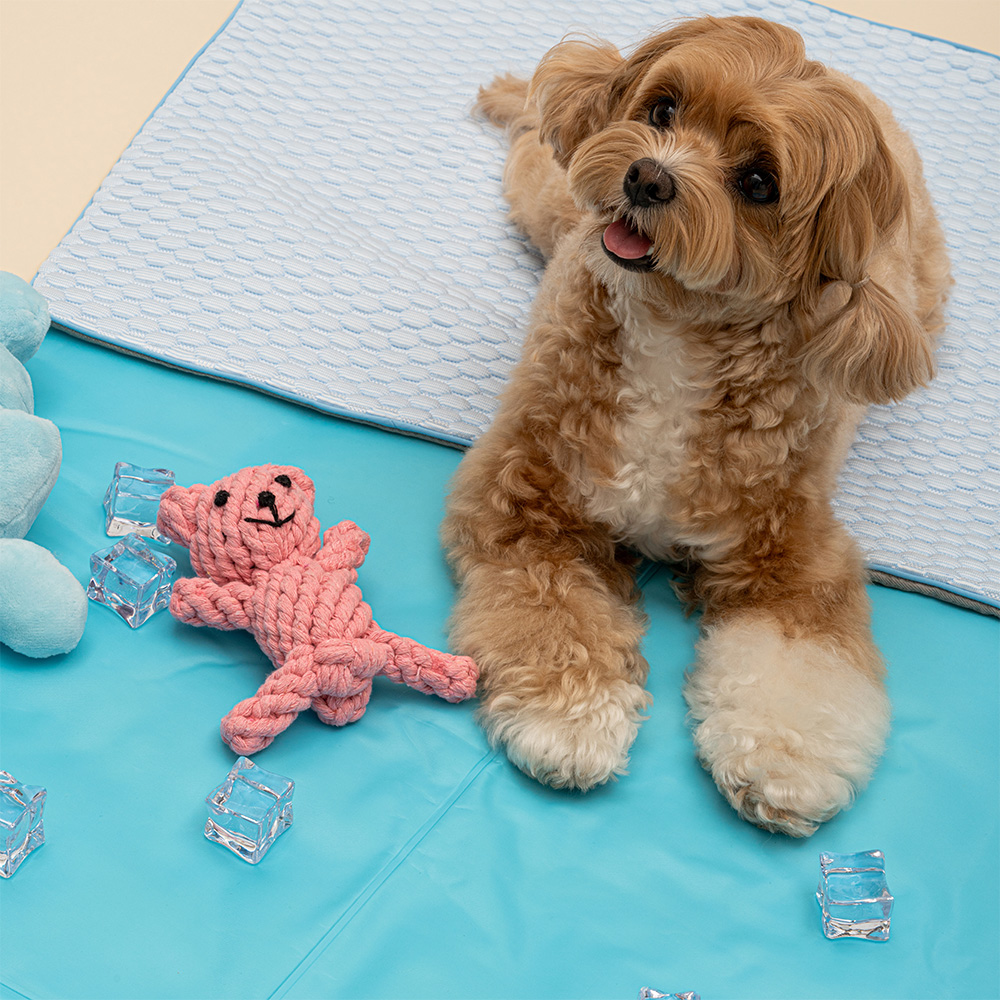 강아지 쿨매트 고양이 애견 젤쿨매트 여름 냉감 반려견 쿨링방석 - 상세 이미지 2