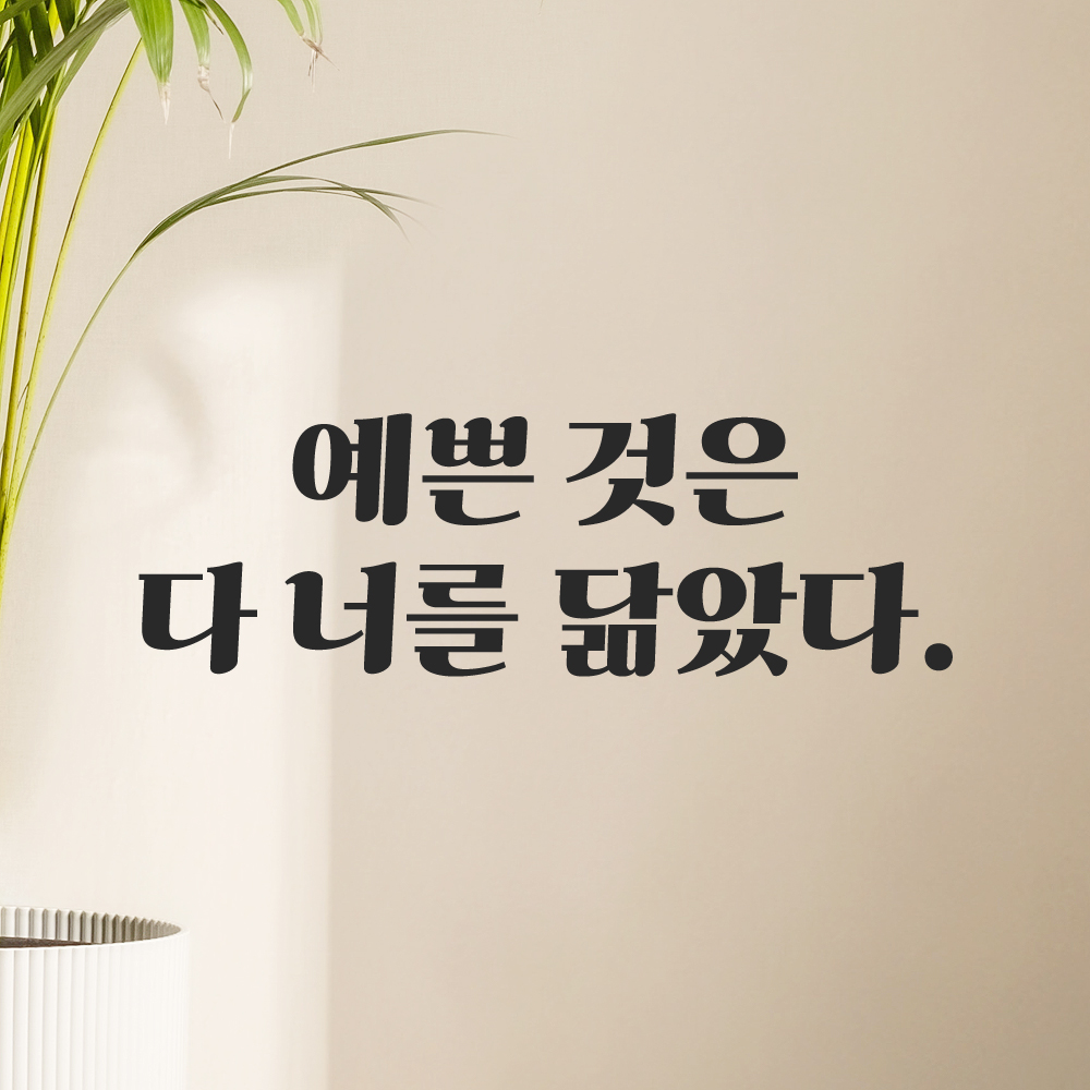 인테리어 포인트 그래픽 레트로 감성 레터링 스티커 예쁜 것은 다 너를 닮았다 LG-061S 검정 - 상세 이미지 5
