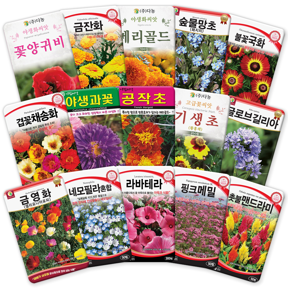 산들마켓 꽃씨앗 일년생 이년생 코스모스 씨앗 4g 꽃씨 야생화 종자 : 산들마켓샵