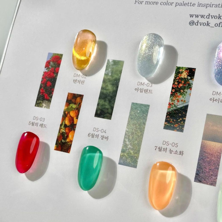 디보크 그해여름 10종단품