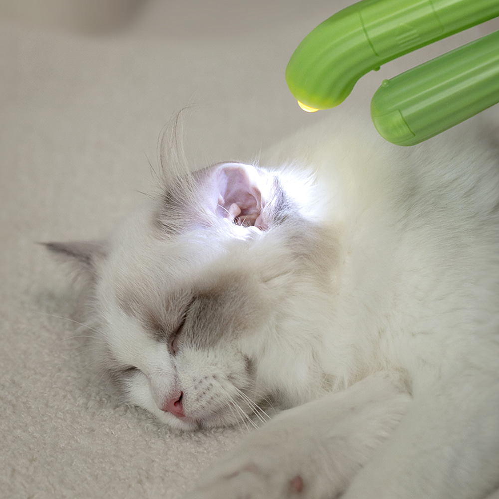 펫쭈 선인장 LED 발톱깎이 강아지 고양이 반려동물 발톱갈이 케어