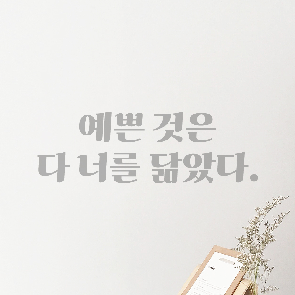 인테리어 포인트 그래픽 레트로 감성 레터링 스티커 예쁜 것은 다 너를 닮았다 LG-061S 검정 - 상세 이미지 3