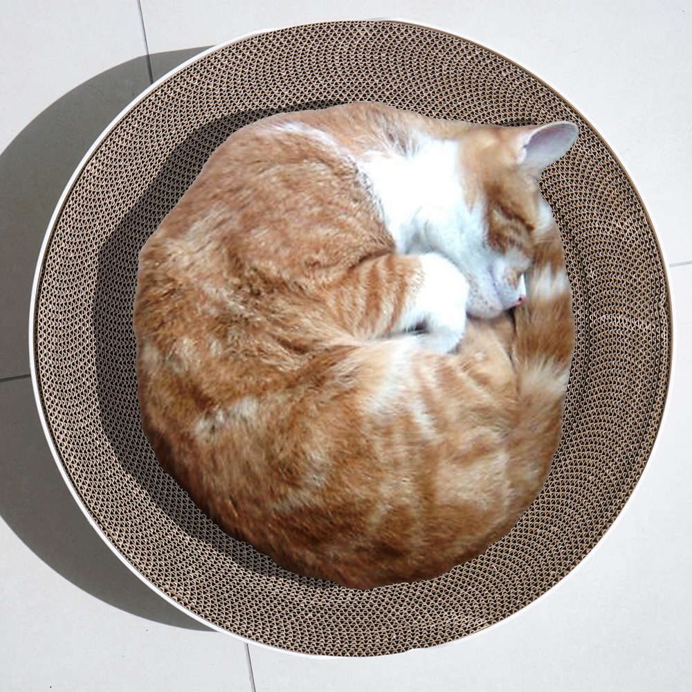 피타 서클 고양이 50cm 대형 스크래처 장난감