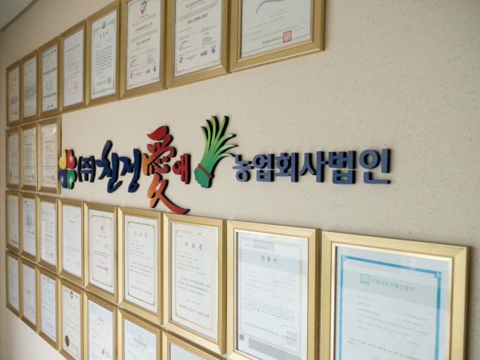 (본사) 1+1 친정애 부추즙 주스 효능 정력 숙취 기력 활력 피로회복 80ml 60팩 이미지 3