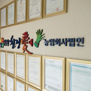 (본사) 1+1 친정애 부추즙 주스 효능 정력 숙취 기력 활력 피로회복 ... 맛있게 먹은 솔직 후기 - 상품 이미지 3