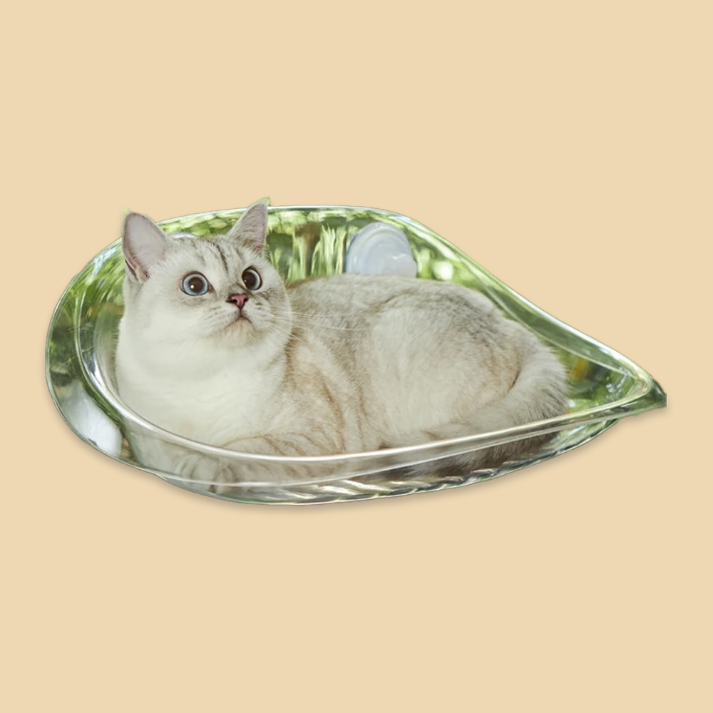개과천선 버블 캣 해먹 고양이 침대 부착형 투명창 간편 세척 놀이 휴식 스트레스 해소 이미지 7