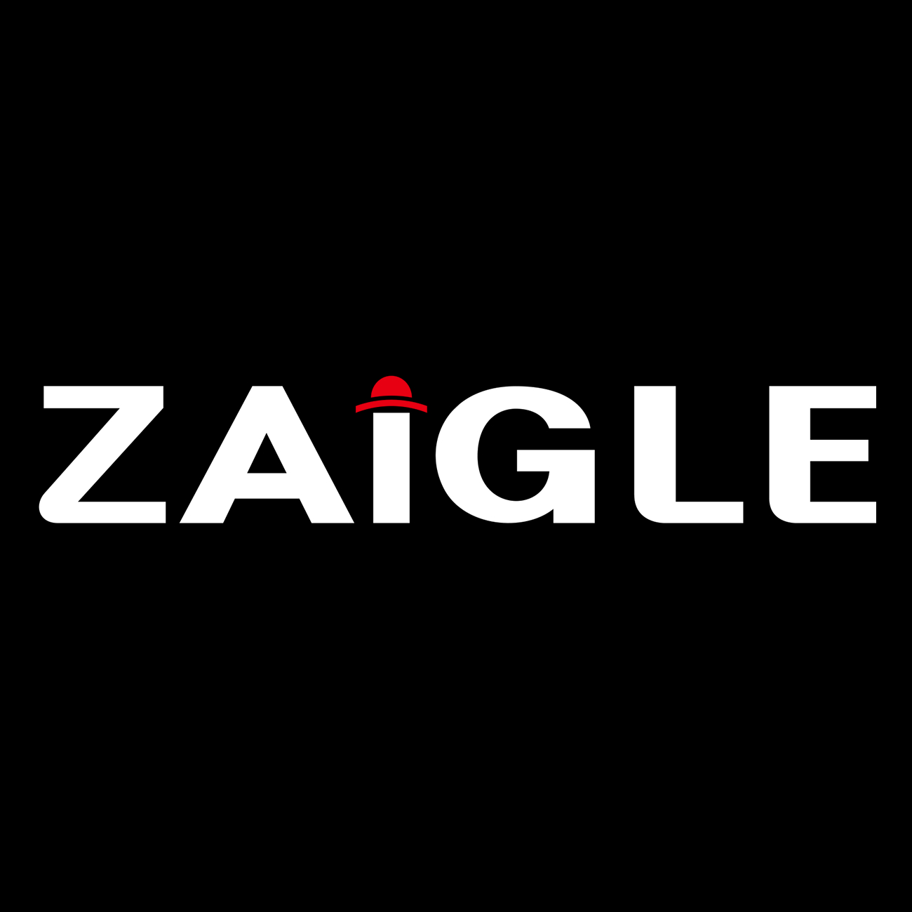 자이글주식회사 스토어 로고