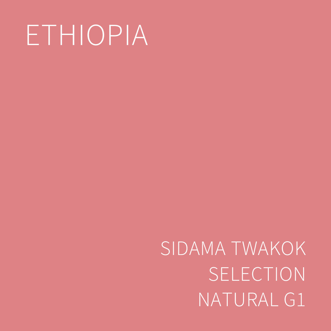 에티오피아 시다마 트와콕 셀렉션 내추럴 G1 1KG (ETHIOPIA SIDAMA TWAKOK SELECTION NATURAL G1)