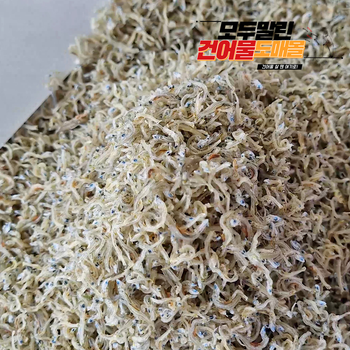 국내산 상급 지리멸치 세멸치(세세멸치) 잔멸치 500g, 1개 - 상품 이미지