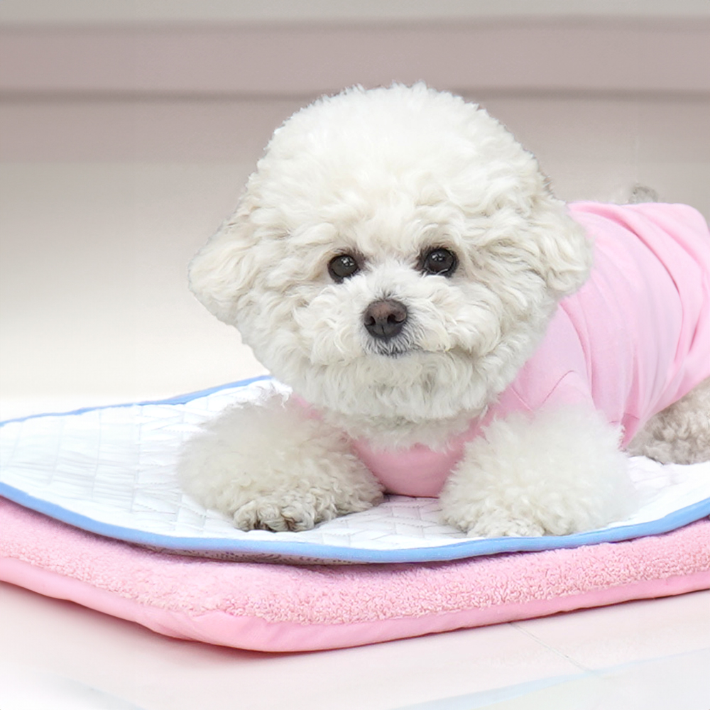 개과천선 듀라론 쿨링 강아지 매트 애견 여름용 유모차 방석 가방 쿠션 경량 쿨매트 논슬립 - 상세 이미지 4