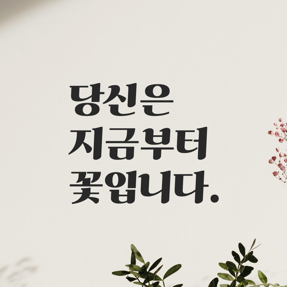 인테리어 포인트 그래픽 레트로 감성 레터링 스티커 당신은 지금부터 꽃입니다 LG-078S 검정 - 상품 이미지
