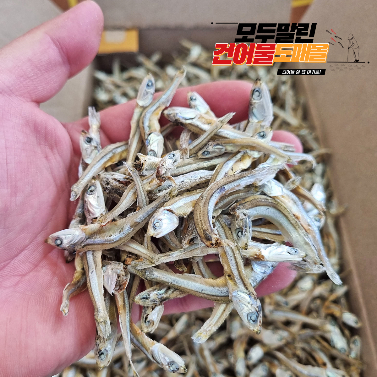 국내산 상급 중멸치 고주바 고바멸치 고추장 다시 국물 멸치 1.5kg, 1개 - 상품 이미지