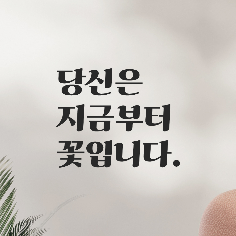 인테리어 포인트 그래픽 레트로 감성 레터링 스티커 당신은 지금부터 꽃입니다 LG-078S 검정 이미지 6