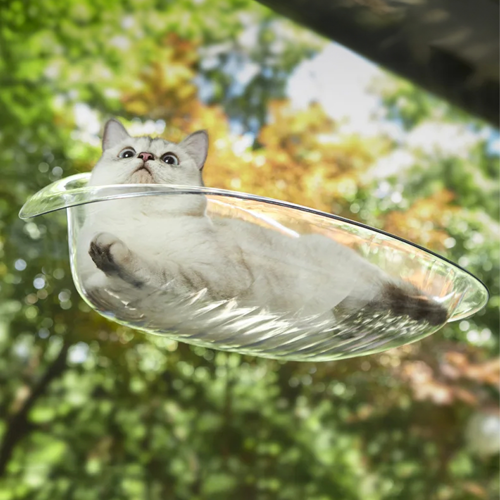 개과천선 버블 캣 해먹 고양이 침대 부착형 투명창 간편 세척 놀이 휴식 스트레스 해소 - 상세 이미지 4